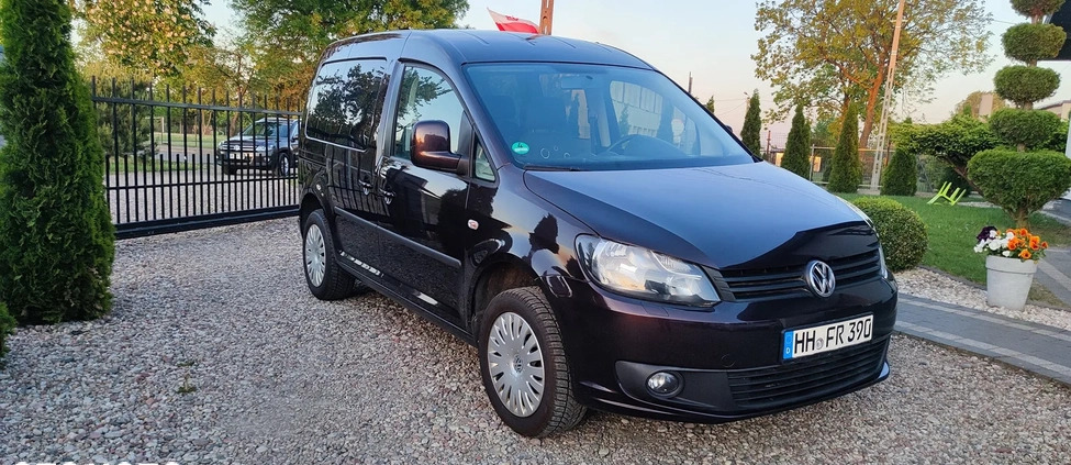 Volkswagen Caddy cena 39900 przebieg: 173000, rok produkcji 2012 z Tarnowskie Góry małe 704